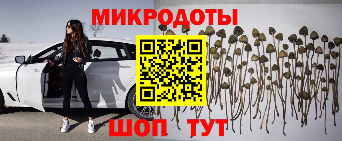 Галлюциногенные грибы Magic Shrooms Электрогорск